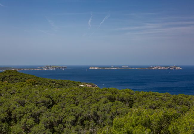 Villa en Sant Antoni de Portmany / San Antonio - VILLA ELEFANT Villa en Sant Antoni de Portmany / San Antonio - VILLA ELEFANT